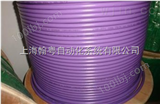 西门子2芯电缆6XV1830-0EH10