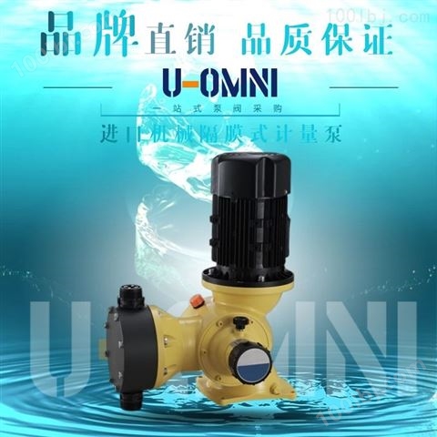 液压隔膜计量泵-美国进口欧姆尼U-OMNI