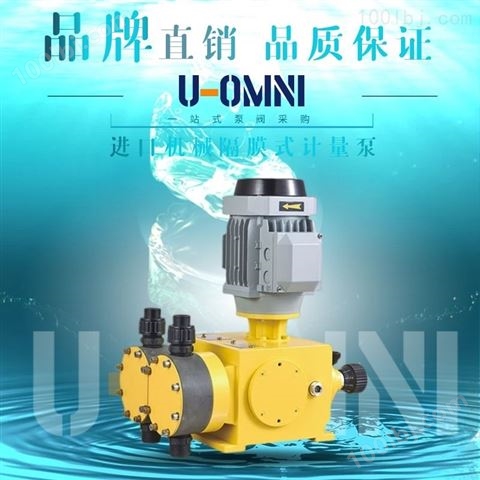 液压隔膜计量泵-美国进口欧姆尼U-OMNI