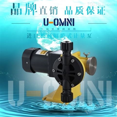 液压隔膜式计量泵-美国进口欧姆尼