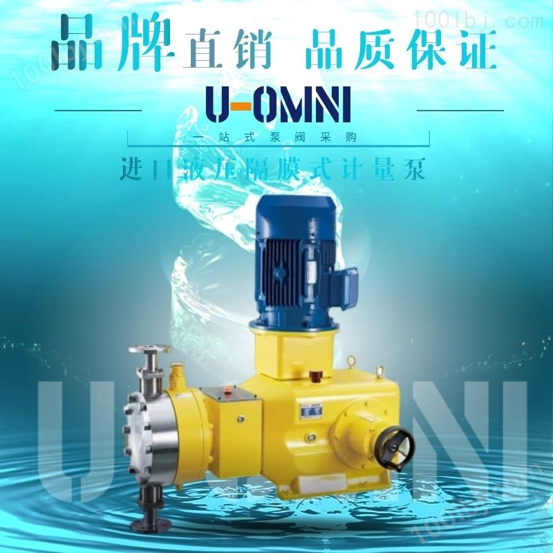 液压隔膜式计量泵-美国进口欧姆尼
