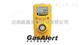 GAXT-XGAXT-X氧气检测仪/BW氧气检测仪